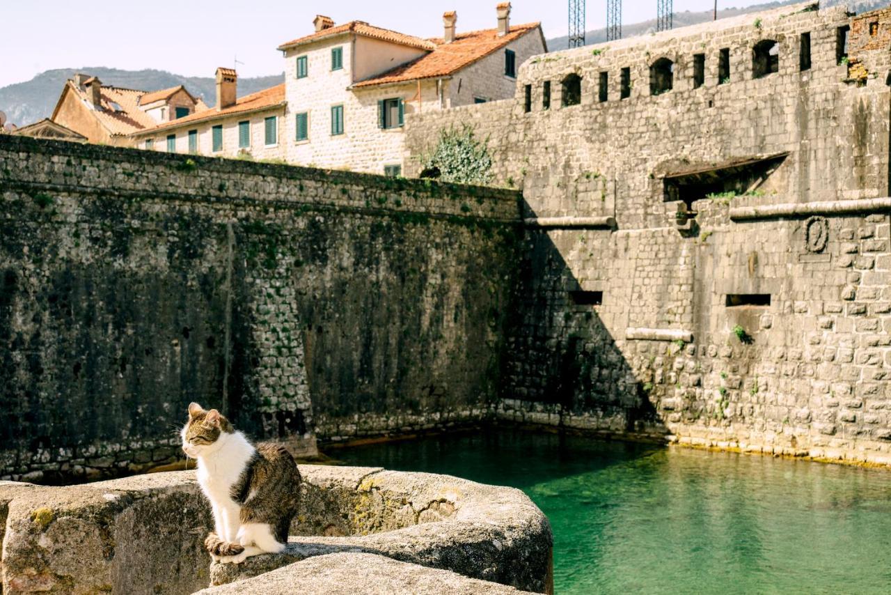 D & Sons Apartments Kotor Exteriér fotografie